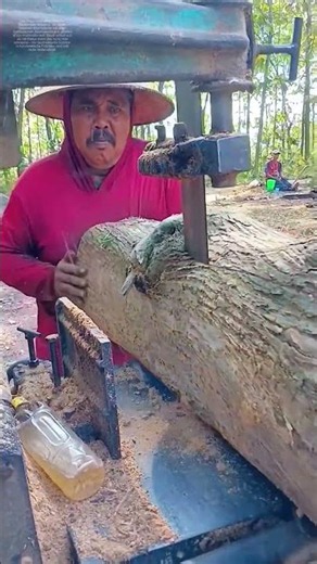 Holz spalten mit Maschine: Wie ein Baumstamm in glatte Bretter verwandelt wird