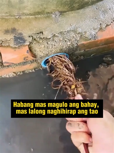 A wise mind can turn even small opportunities into big wins. #trending #studytok #success #mindset /5/CTCT/NT