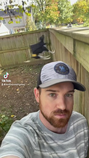 Batdog! 🦇 🐶 #fy #fyp #foryou #foryourpage #comic #batman #dog