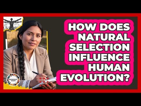 How Does Natural Selection Influence Human Evolution?