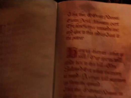 Trick or Treat 🍁🕸 | MOON CHILD