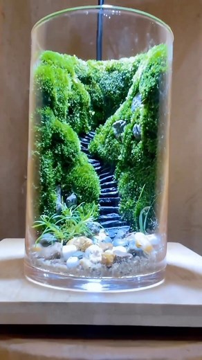 20K views · 401 reactions | A magical miniature garden emerges within...