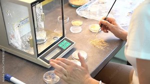 Scientist in the laboratory conducts experiments with larva. Measuring the weight of the larva on a special weight scale.