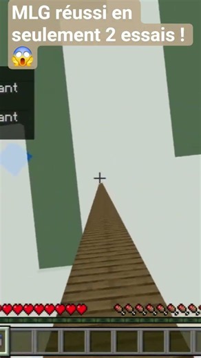 MLG réussi en seulement 2 essais ! 😱
