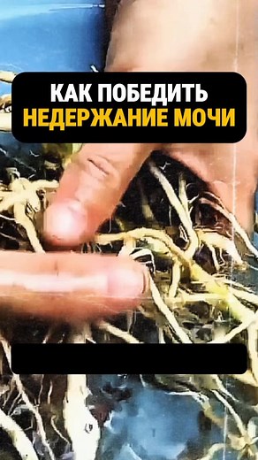 Как победить недержание мочи #здоровье #народнаямедицина #недержание