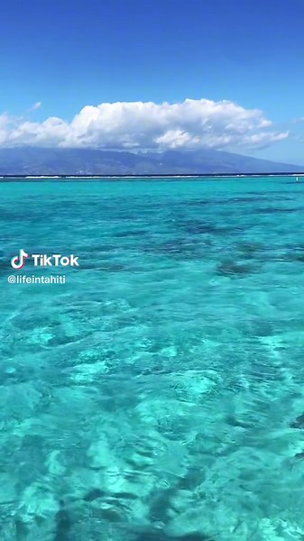 Above water vs under it. 🤍 #frenchpolynesia #tahiti #moorea #tiktoktravel #travel #luxurytravel #luxuryresort #oceantok #oceanlife #stingray