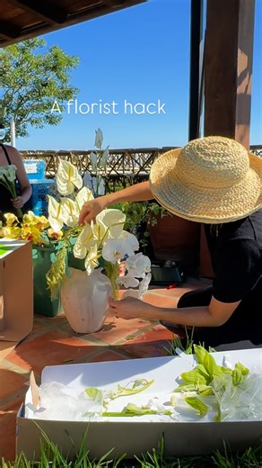 Santa Barbara Wedding Florist • Mackenzie Nancarrow Designs on Instagram: "A florist hack – when working with hanging amaranthus, always start from the center of your arrangement. Place it deep inside the structure and then let it naturally fall. This gives the illusion that the arrangement is flowing from within, instead of just hanging on the outside. The result is a design that feels intentional, elevated, and perfectly balanced Recipe 13 white anthurium 5 stems hanging Amaranthus 1 white orc