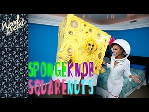 spongeknob-squarenuts.341539