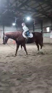 Eleanor on Tommy During her Horseback Riding Lesson