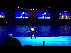 HD FULL SHOW - SeaWorld Shamu Christmas Miracles Show