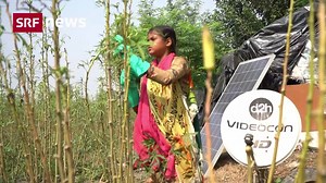 Wegen Pandemie: Kinderarbeit in Indien nimmt deutlich zu