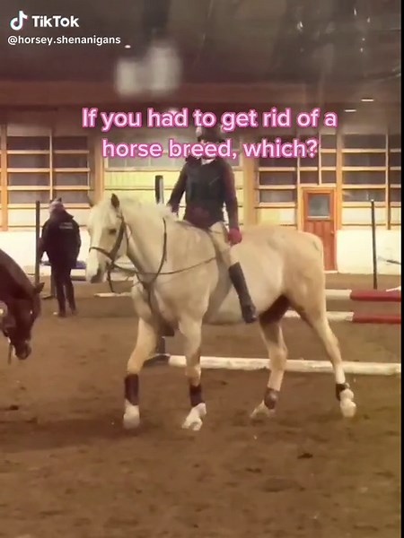 #CapCut I love popcorn so so much #horse #popcorn #pony #babypony #horse #sweet #youngrider #equestrian #horseriding #horsebreeds