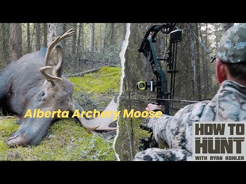 Giant Alberta Archery Moose | How to Hunt with Ryan Kohler | S6 E3