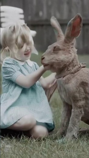 Family Film Discovery #sora2