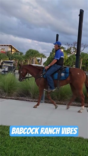Horse Spotted At Babcock Ranch Florida Solar Town