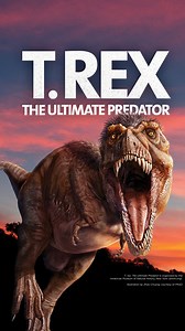 1.1K views | The Bullock Museum is excited to present T. rex: The...