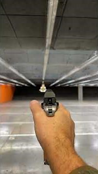 Phoenix Drake Competition Grips