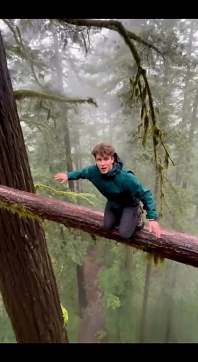 Canopy Climber on Reels