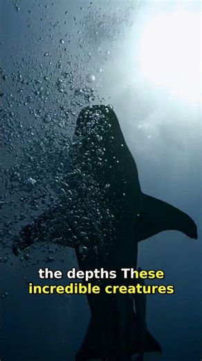 7 Surprising Shark Facts That Will Change Your Mind!