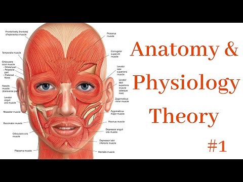 Anatomy & Physiology #1