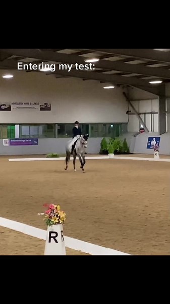 Dressage Routine: Equestrian Competition Skills