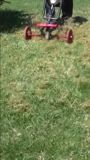 Dethatching My Lawn with a DIY Rototiller Attachment!