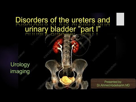 4- disorders of the ureter and urinary bladder part I
