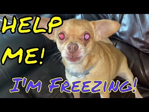 How to Repair Heating Radiator Air Vent Threads | Drill and Tap for Bleeder Valve