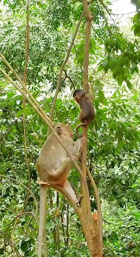 Mom teaches her child.