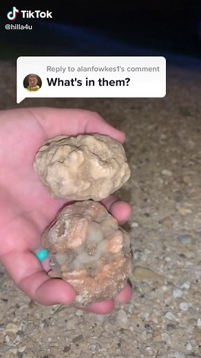Reply to @alanfowkes1 #viral #geodes #EveryKiss #geode #rocks #fossil #crystals