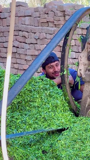 Processing Green Plants in Outdoor Settings