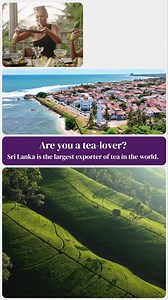 Are you a tea-lover? Sri Lanka is the largest exporter of tea in the world. | Staysure