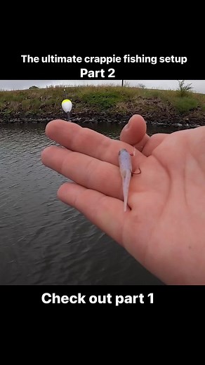 30K views · 260 reactions | The ultimate crappie fishing setup. Part 2 crappiefishing #crappie #crappiemaniacs #crappiecrazy #903fishing #texasfishing #blackcrappie #crappielife #crappiefishin #crappiefishingfools #youtuber #blackcrappie #whitecrappie #fishing #fishinglife #fishingaddict #fishingdaily #crappiecrazy #fishingislife #fishingtime #fishing #inandoutpowersports #runcl | 903 Fishing | Facebook