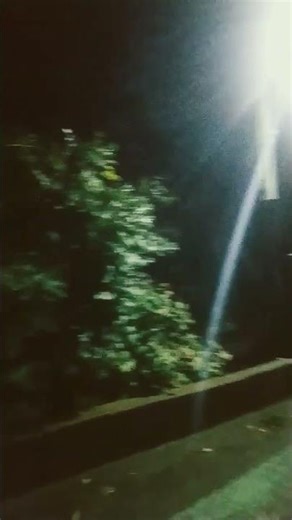 この橋と壁はかなり古い(Old Bridge)【古道の現代風景紀行TokyoOldRoute】#shorts #tokyowalk #nightwalk #夜散歩 #japan_travel #散歩