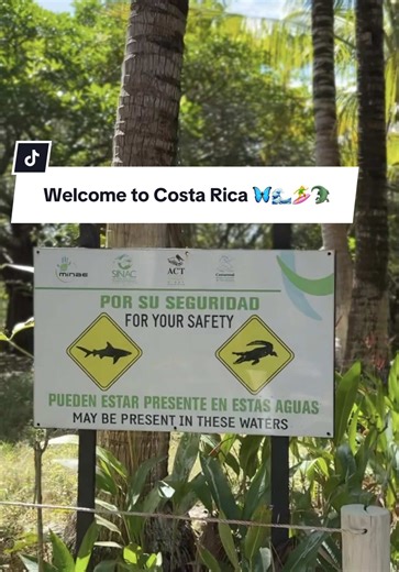 Crocodile warning sign? ✅ Baby giraffe pop-ups? ✅ Surf community cheering me on? ABSOLUTELY. 🌊💛 Two years into surfing and I’m still a newbie… but I’ve never felt more alive. I’ll keep paddling. Midlife is the perfect time to begin again. #RiseStrong #SurfingCostaRica #MidlifeMovement #fitafter50 #costarica
