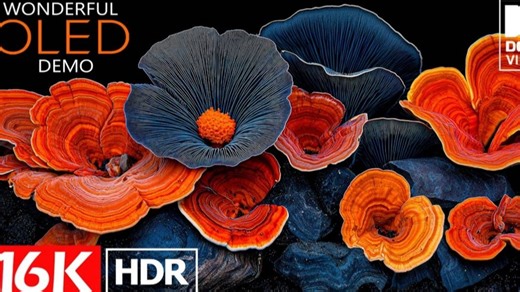 16K视频-杜比视界16K HDR 60fps（8K视频超高清）