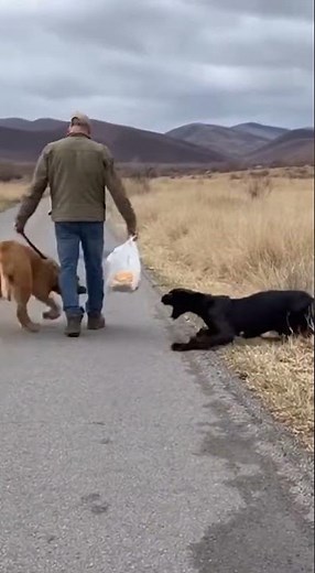 ATTACKED While Entering The Jungle! 💀 Run For Your Life! (Real Footage)