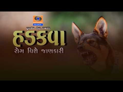 Hadkava Rog Vishe jankari || Dr Tejas Shukal || KrushiDarashan Rajkot