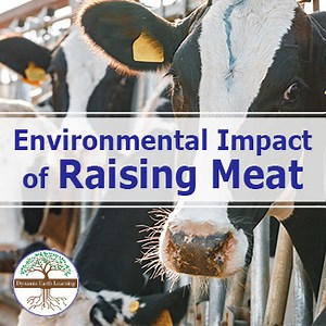 Environmental Impact of Raising Meat  | Video Lesson, Handout, Worksheets