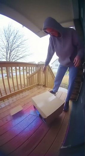 Best Porch Stealing fails 😂