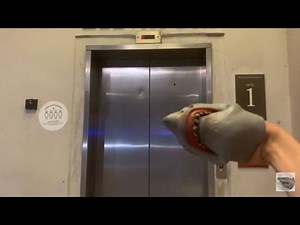 SB Movie: Shark Puppet goes on an elevator! (Part 8)
