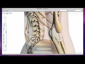 Elbow Bursitis - Olecranon Bursa Swelling and Inflammation