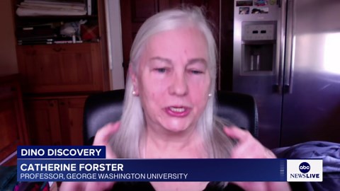 New species of dinosaur discovered at US landmark