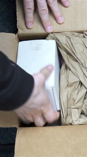 From the Mailbox - Spring Chicken by Malekko