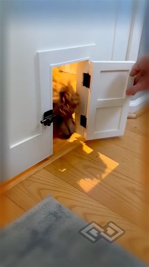 Doogie door custom built for my daughtersplay room #cute #comedy video 😱🦮🐕‍🦺🐕‍🦺🐕‍🦺🐕‍🦺🐕‍🦺🐕‍🦺