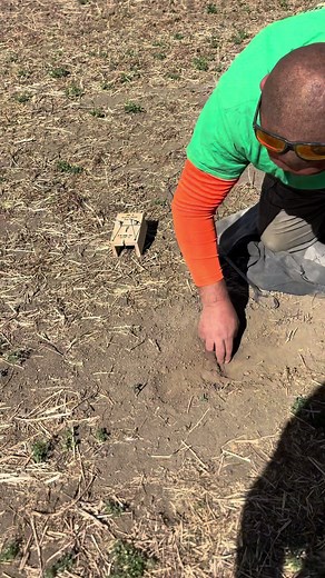 How to Set a Gopher Trap with the Pro
