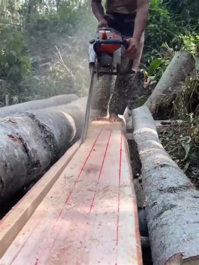 Watch raw power meet precision craftsmanship as a skilled operator transforms a solid log into clean, usable lumber using the legendary Stihl MS 070. From positioning the log and marking precise cut lines, to firing up the beast and making steady, controlled passes — every step showcases technique, patience, and respect for the wood. 🌲🪚 See the full step-by-step milling process: debarking, first slab cut, leveling passes, measuring thickness, and turning rough timber into smooth, ready-to-use 