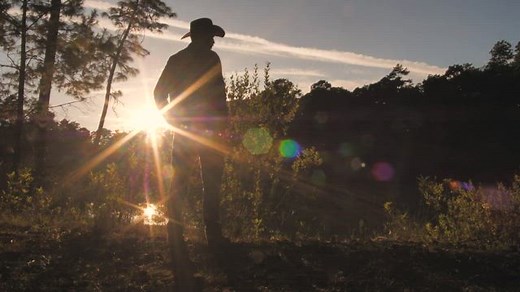 Free Cowboy Videos: 4K & HD | No Watermark | Download Now