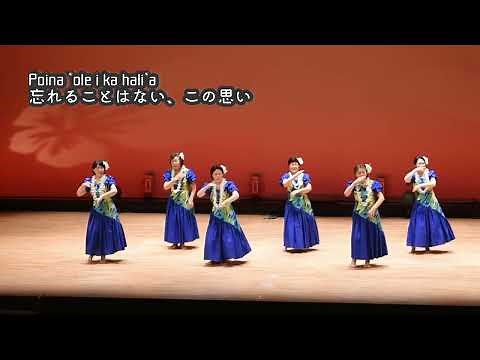E Ku'u Lei PuaKenikeni エクウレイプアケニケニ（歌詞と日本語訳付き ） HULA