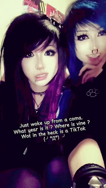 Nostalgia Trip: What Happened to Vine and TikTok?